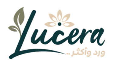 لوسيرا | locera logo