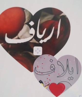 ارياف ويلاف logo