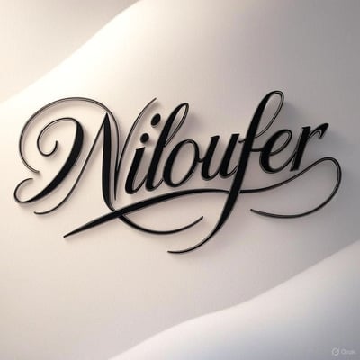 Nilofer logo