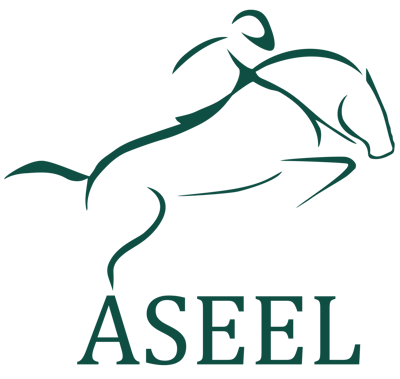 Aseel Store logo