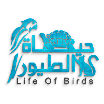 حياة الطيور logo