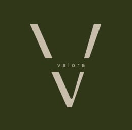 Valora logo