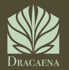 Dracaena logo