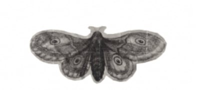 Unique.dresses logo