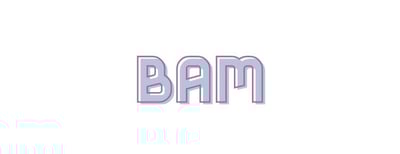 BAM STORE logo