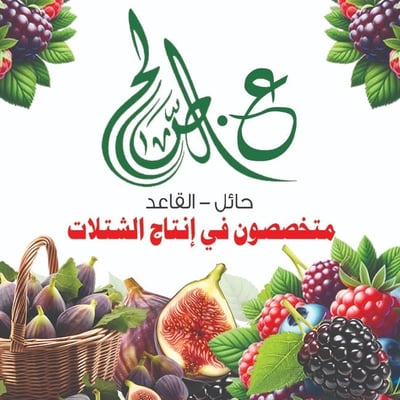 Logo of عبدالله الصالح للعقل والشتلات