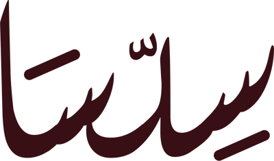 سلسا Logo