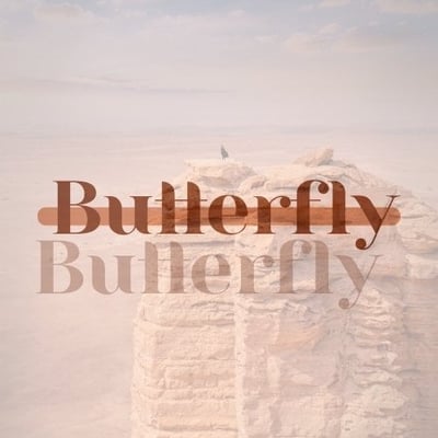 Butterfly logo