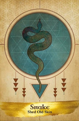 new snake 🫆 logo