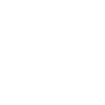 Lion Sport logo