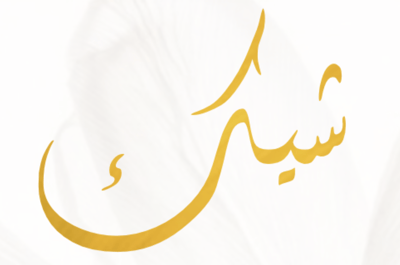 متجر شيك logo