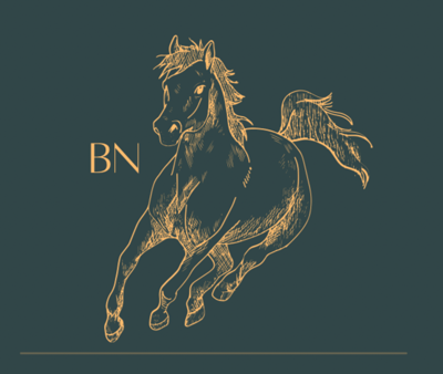 BN logo