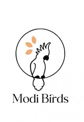 Modi Birds logo