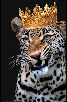 بوتيك الفهد 🐆🤎 logo
