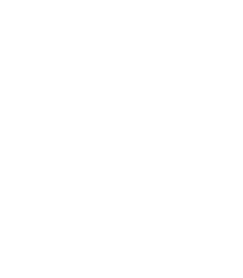 icare store logo