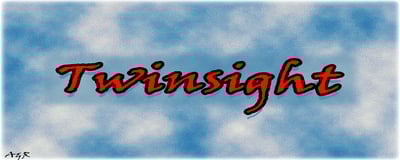 Logo of Twinsight