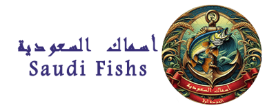مطعم أسماك السعودية
