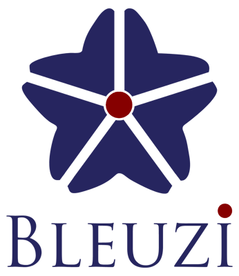 بلوزي logo