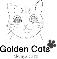 القطط الذهبية||Goldeen cats