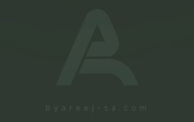 By Areej logo