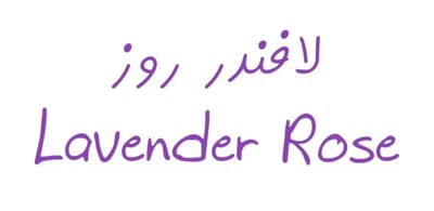 لافندر روز logo