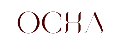 ochastore logo