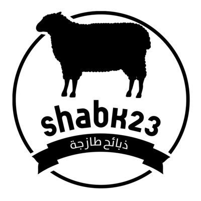 شبك23 logo