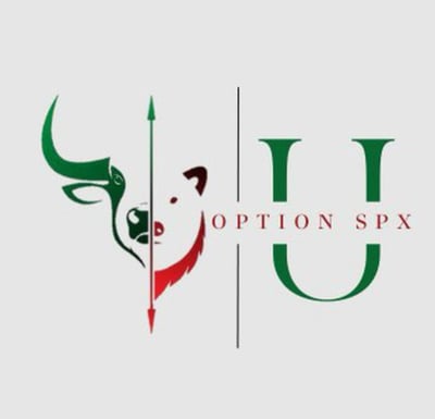 UOPTION SPX logo