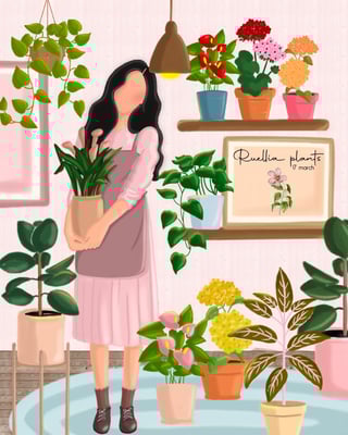 Ruellia plants