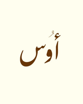 أوس logo
