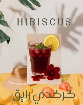 🌹🌹كركديه راايق🌹🌹 logo