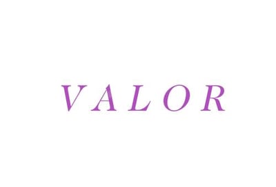 VALOR logo