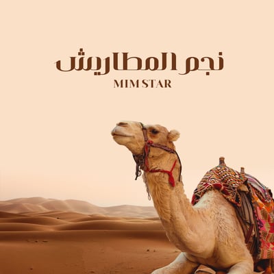 نجم المطاريش logo