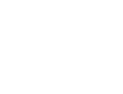 MOON STORE logo