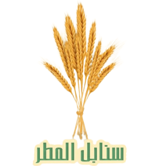 سنابل المطر logo