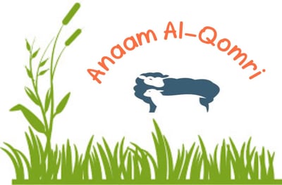 آنعٍآم آلُِقٌمرٍي logo