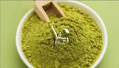 ريفا logo