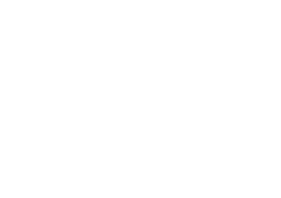 ريشة ستور