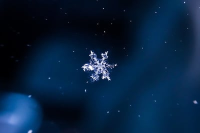 Snowf logo