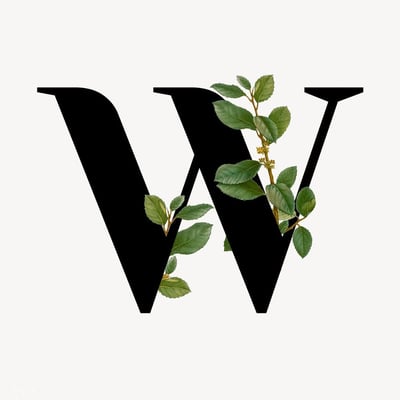 Excellency logo