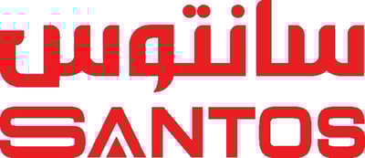 سانتوس logo
