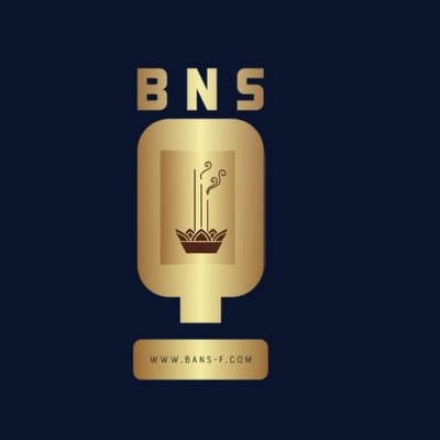 BNSQ logo