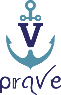 Prave Store logo