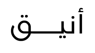 انيق logo