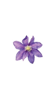 Sambla.m logo
