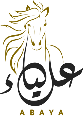 Aliastory logo