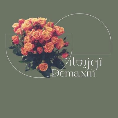 مارفيلا logo