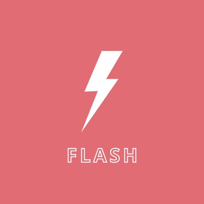 Flash logo