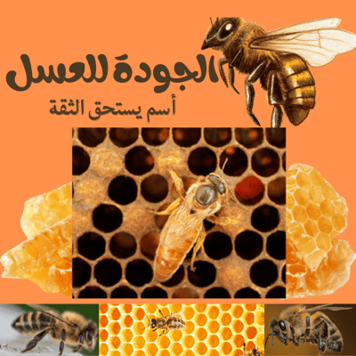 الجودة للعسل
