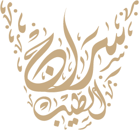 سراج الطيب logo